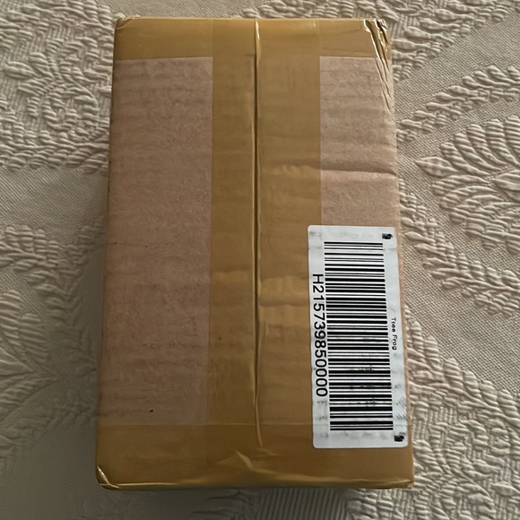 Carver Dan “Rainforest Coqui Tree Frog”Puzzle Box - Picture 6 of 6